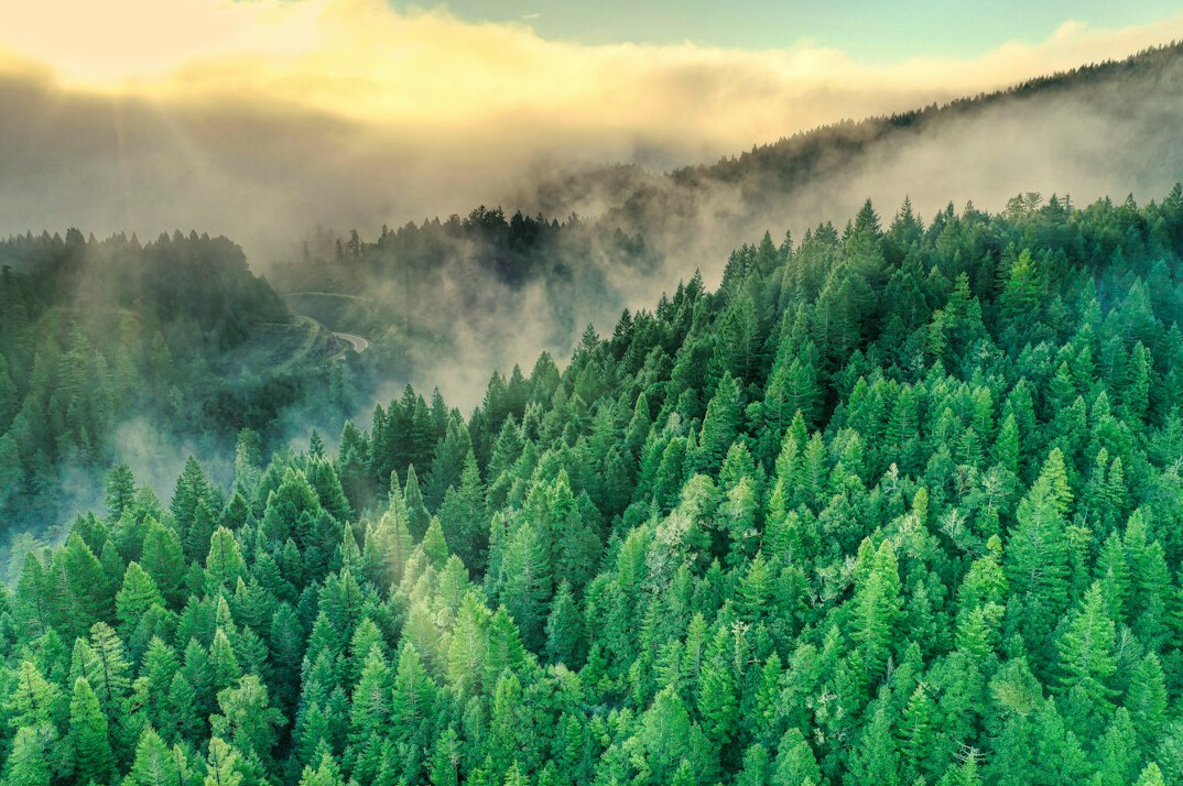 sustainable filing success